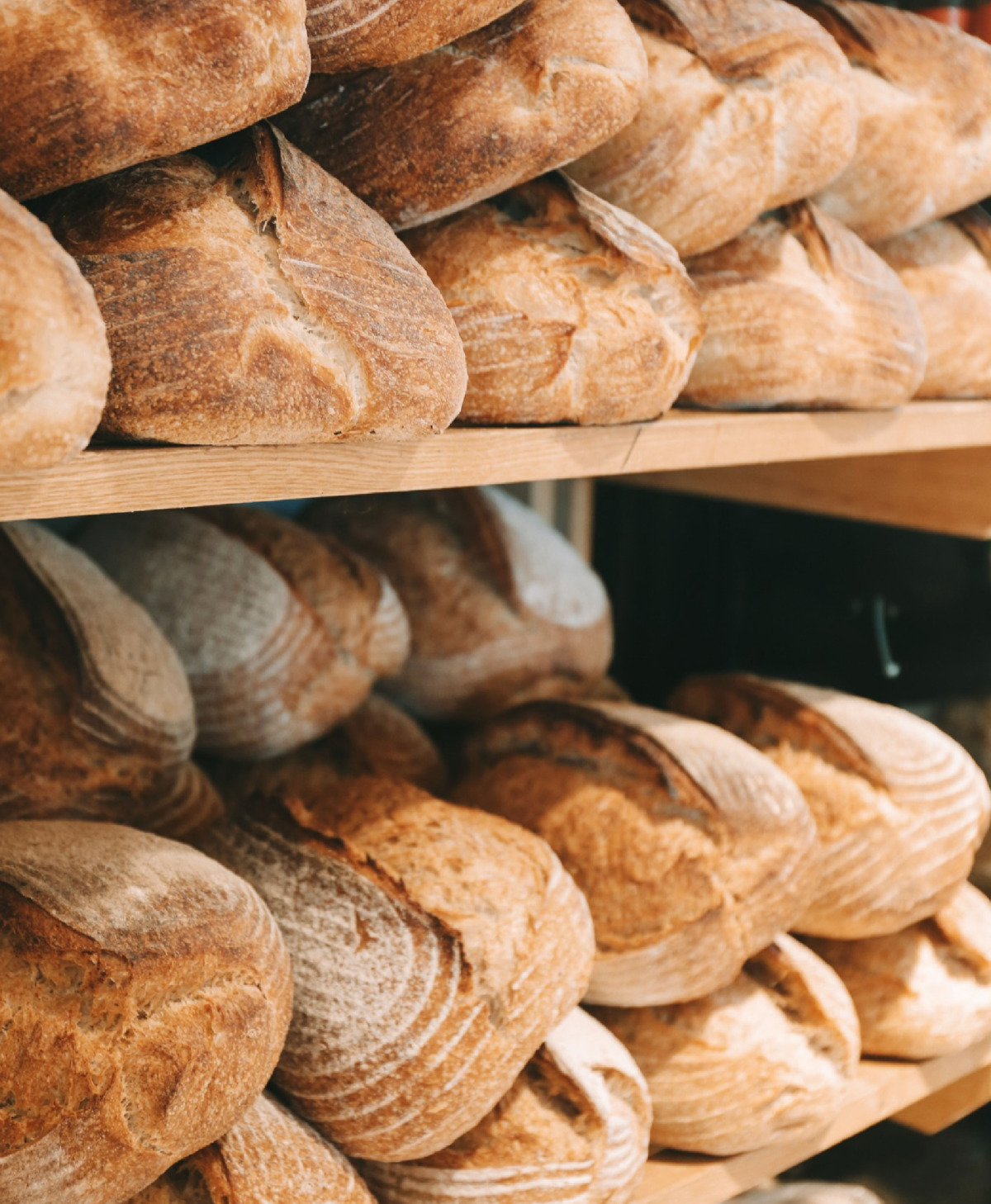 Rise-Category-Loaves_white-sourdough